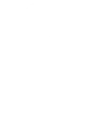 Apple logo lock | Belsatex